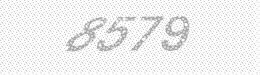 Visual security code — type the characters shown in the image